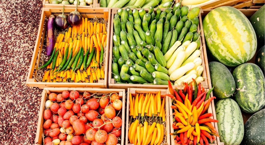 Practical session during vegetable preservation and storage training