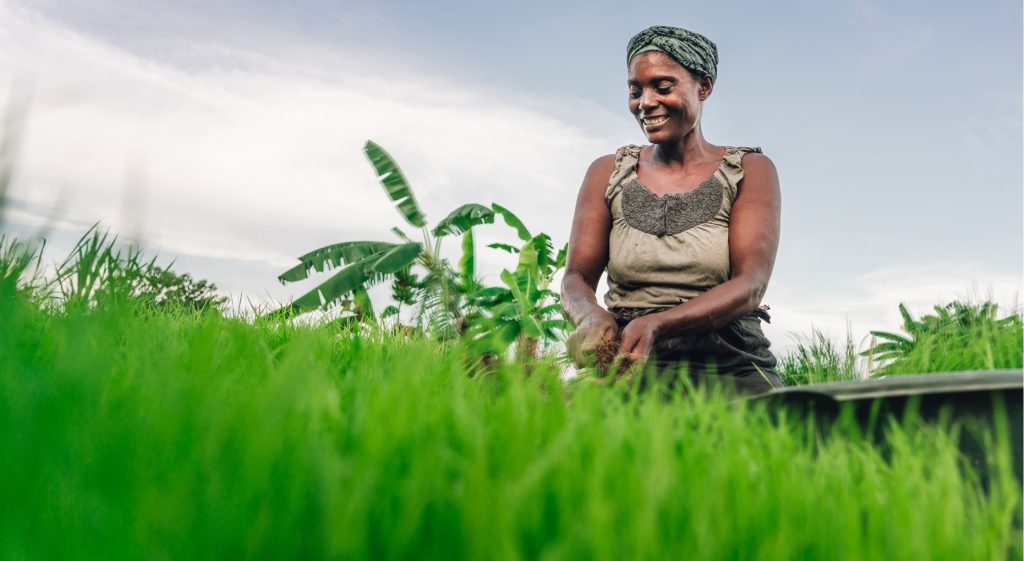 Community group processing farm produce into packaged products